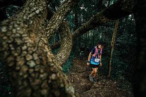 BIB: 
                            <button type="button" onclick="openModal(25696322)" class="btn btn-primary btn-sm float-right btn-popup" data-toggle="modal" data-target=".modal-high-quality">
                        <i class="fas fa-shopping-cart"></i> Add to Cart
                    </button>
                                            <button type="button" onclick="isThisMe(25696322, true)" class="btn btn-success btn-sm float-right btn-popup btn-isme hidden" data-toggle="tooltip" data-placement="bottom" title="นี่คือรูปของคุณใช่ไหม คลิกที่นี่เพื่อเอาเข้าอัลบั้ม">
                        <i class="fas fa-plus"></i> Add to album
                    </button>
                    <button type="button" onclick="isThisMe(25696322, false)" class="btn btn-warning btn-sm float-right btn-popup btn-isnotme hidden">
                        <i class="fas fa-ban"></i> Remove from album
                    </button>